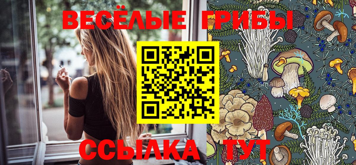 Галлюциногенные грибы прущие грибы Сургут