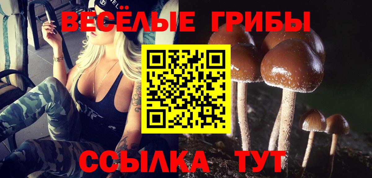 Псилоцибиновые грибы MAGIC MUSHROOMS  Вход с VPN  Сургут  Псилоцибиновые грибы Psilocybe 