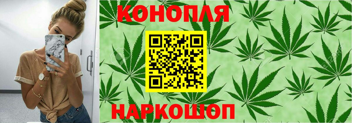 МАРИХУАНА конопля Сургут